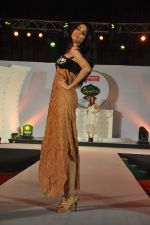 at Nisha Jamwal fashion show for IPL in Marriott, Pune on 9th May 2012 (38).JPG
